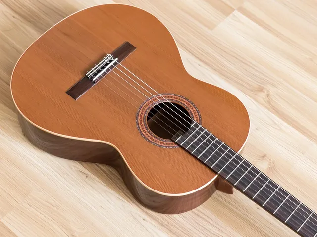 PRS SE A55E Acoustic Electric Guitar