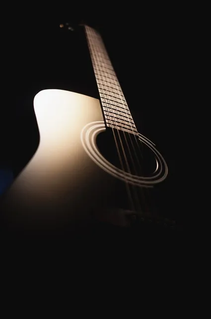 Larrivee OM19-M Acoustic 