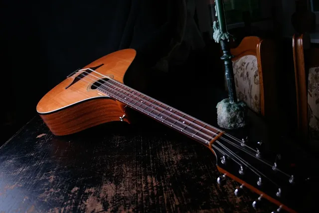 PRS DW CE 24 Floyd - Burnt Amber Smokeburst
