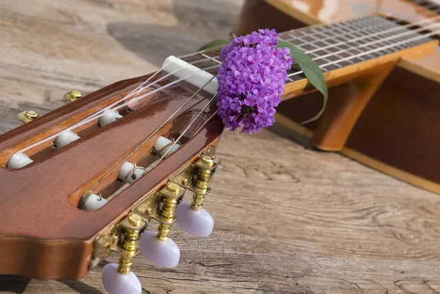 Larrivee OM19-M Acoustic 