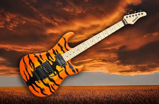 Paul Reed Smith Custom 22 Violet Smokeburst Ten Top