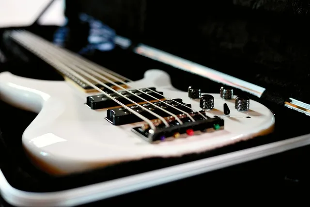 Gator PROgo Series Electric Bass Bag