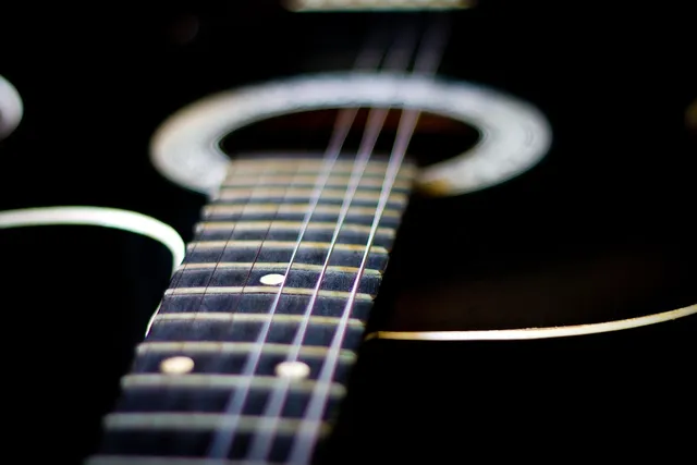 Larrivee OM19-M Acoustic 