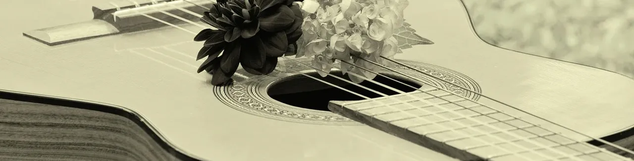 acoustic-g-crop-01.jpg