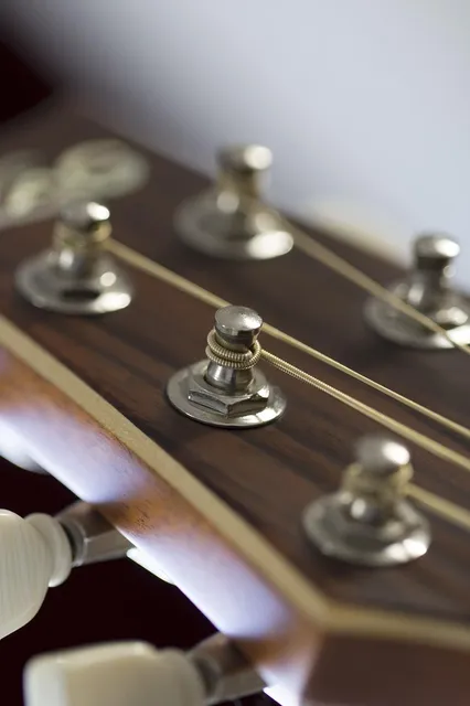 PRS SE Mark Holcomb Signature Seven String - Holcomb Burst
