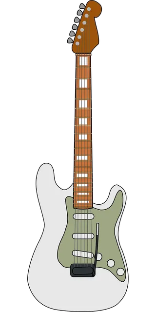 Fender FSR '65 Deluxe Reverb Gray/Black & Silver