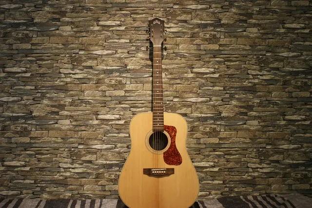 Fender Midnight Telecaster Limited Edition MIJ w/Bag
