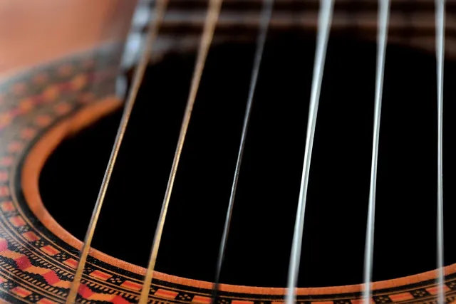 Gibson Memphis ES-135 Ebony