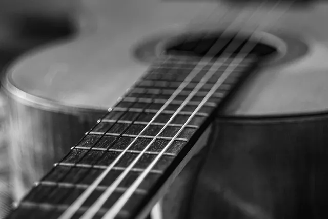 Levy's Black Leather Deluxe Electric Guitar Bag