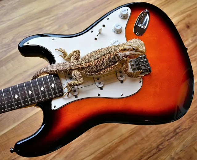 EVH Wolfgang Special Electric Guitar Natural