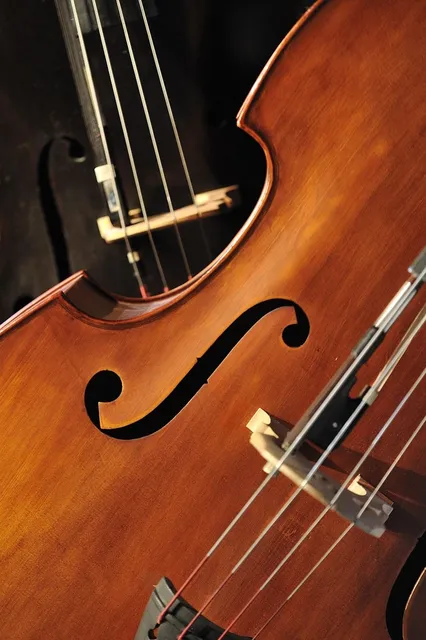 Roscoe Classic P 5 String Bass Placid Blue Played on Tour FGL