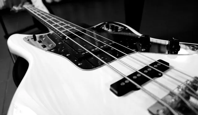 Fender FB1225 Electric Bass Gig Bag Black
