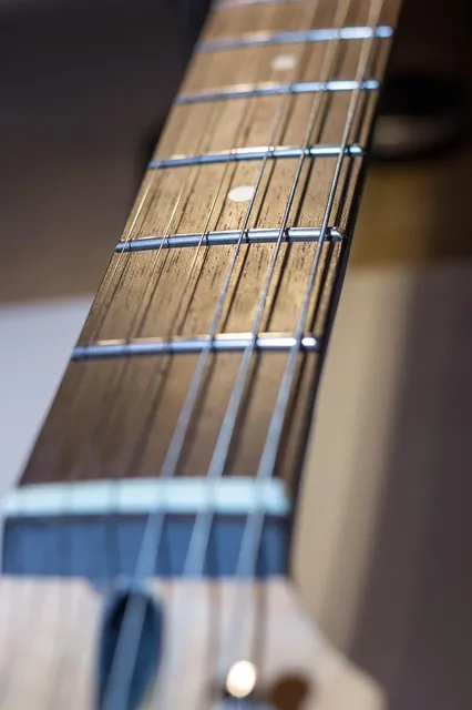 Gadow Custom Special Setneck Electric Guitar Quilt Top- Mahogany - Rosewood