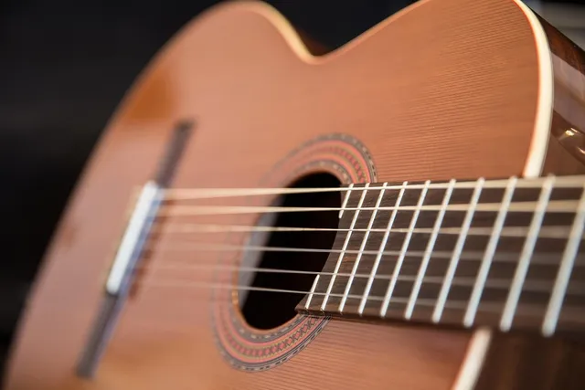 PRS SE A55E Acoustic Electric Guitar