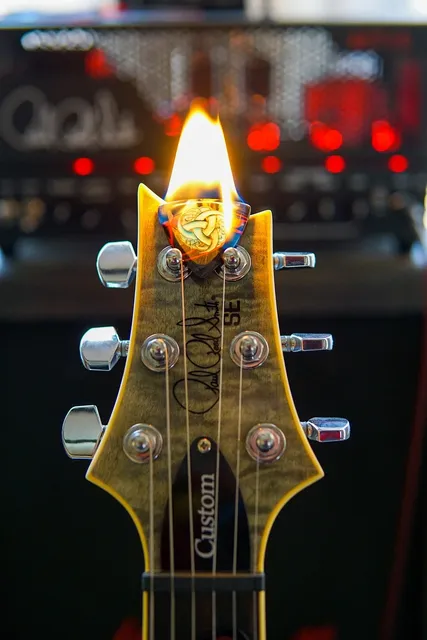 F Bass BN5 Series 5 String Bass Ash - Chestnut Flame - Maple Neck