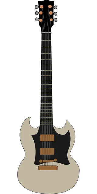 Jackson Soloist/Dinky Electric Guitar SKB Case