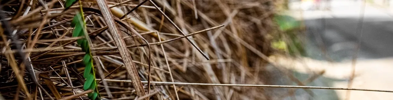 amp-stack-crop-01.jpg