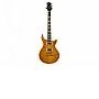 b3 SL Deluxe Electric Guitar Distressed Lemon Burst w/Case