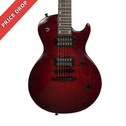 Roscoe LP Electric Guitar Red Flame Maple w/Case
