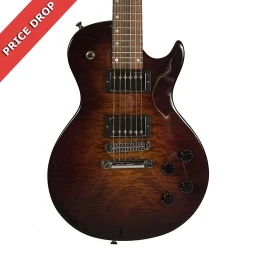 Roscoe LP Electric Guitar Tobacco Burst Quilt Maple w/Case